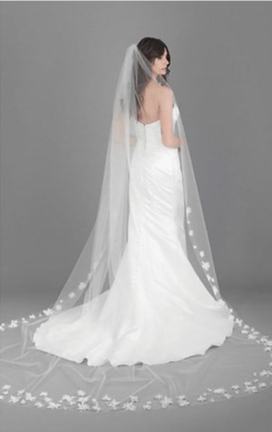 V7749C Veil