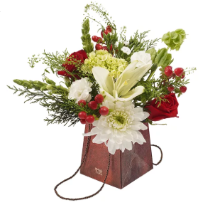 Appointment Upgrade Menu