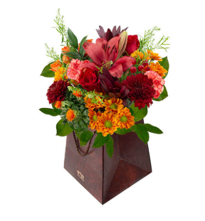 Appointment Upgrade Menu