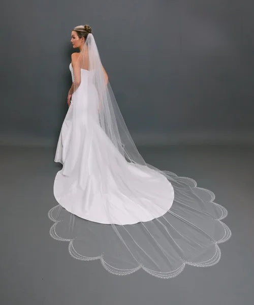 SP564 Veil