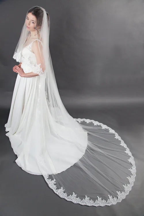 SP551 Veil